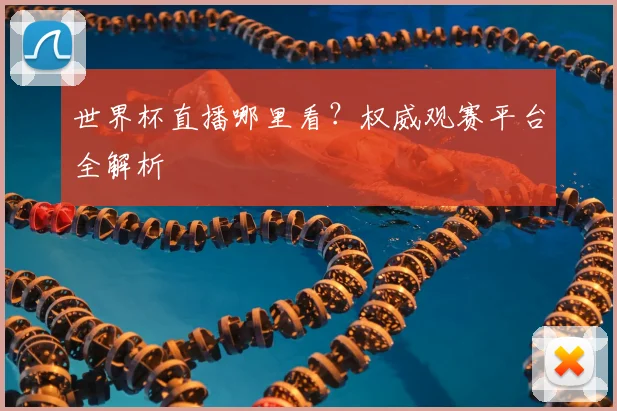 世界杯直播哪里看？权威观赛平台全解析
