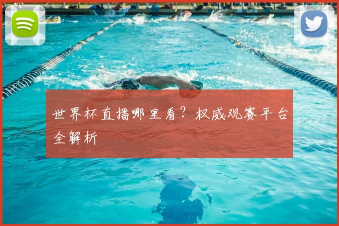 世界杯直播哪里看？权威观赛平台全解析
